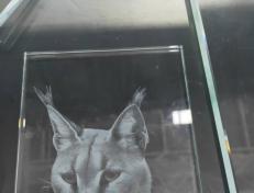 重慶個性玻璃繪圖哪家好